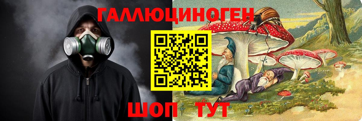 Обь  Псилоцибиновые грибы Cubensis  Псилоцибиновые грибы Cubensis  Вход с VPN 